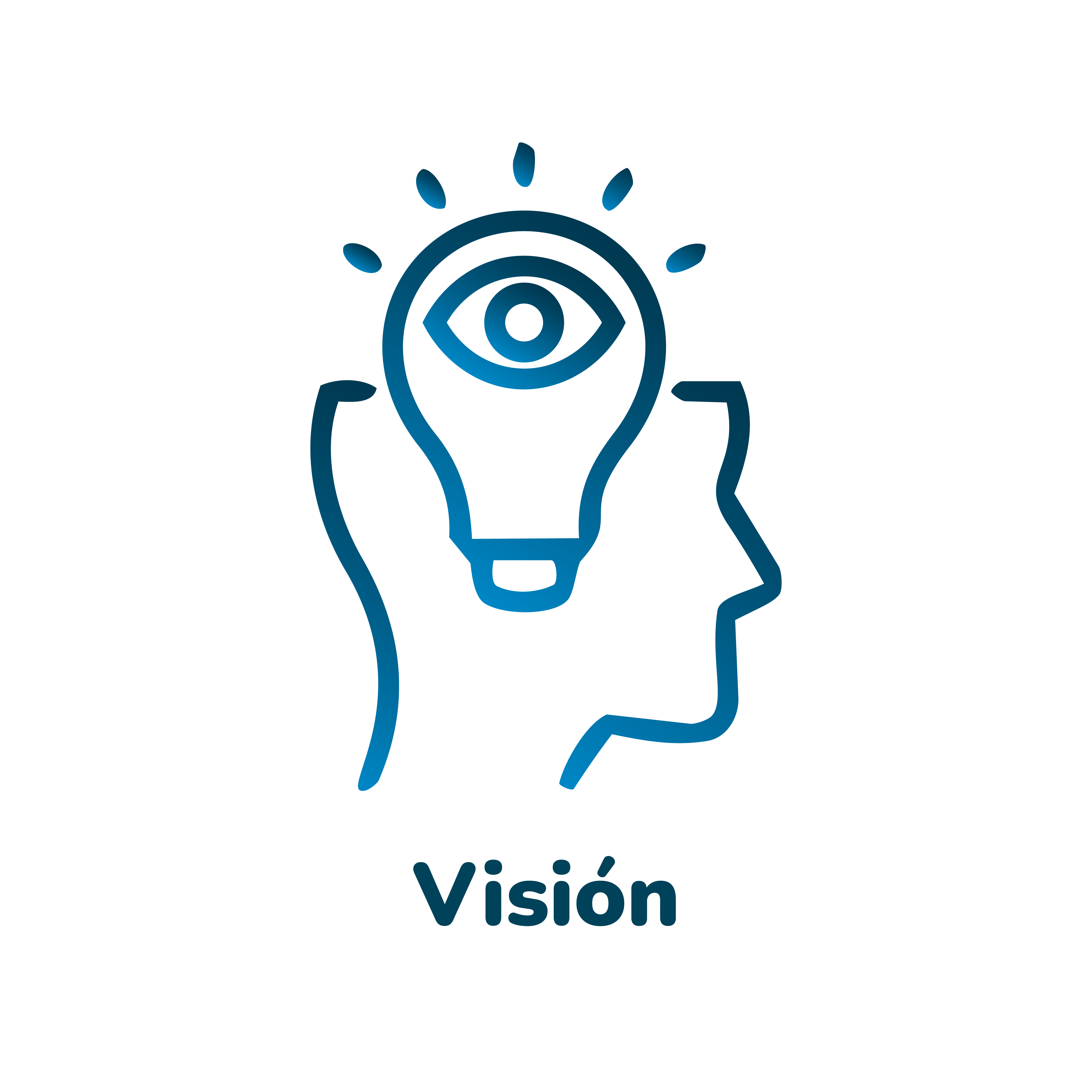 Visión